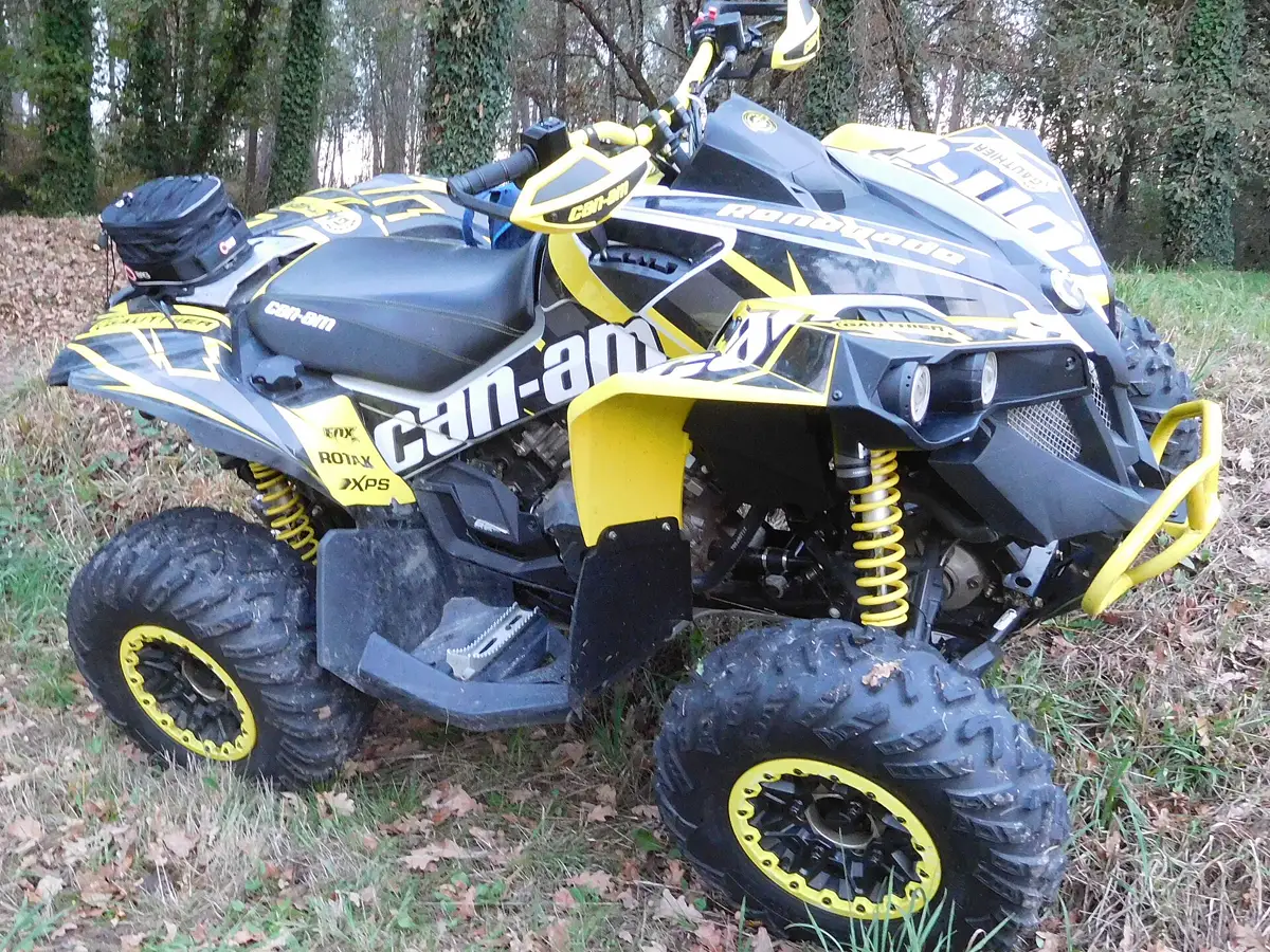 Квадроцикл Can-Am Renegade